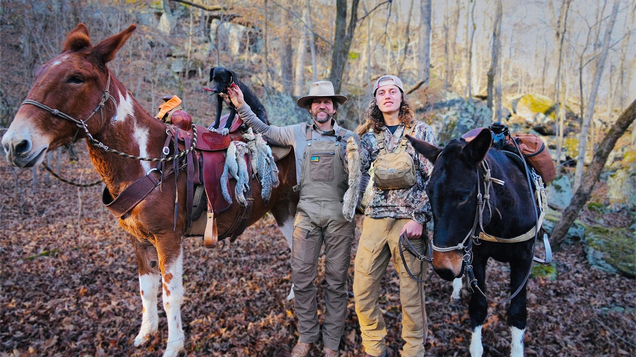 First Time Shooting Off Young Mule!!! Clay And Bear Newcomb Squirrel Hunting With Dogs And Mules