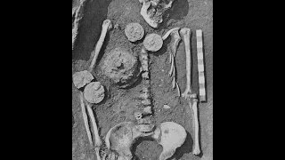 Early Anglo-Saxon dark age shield sizes - some stats