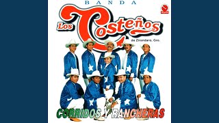 Vignette de la vidéo "Banda Los Costeños de Zirandaro, Gro. - Corrido de Luis Pulido"