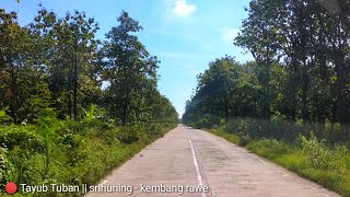  Tayub Tuban  Srihuning Mustiko Tuban  Kembang Rawe