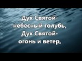 Дух Святой небесный голубь ( минус )