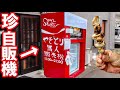 【スゲェ！】自販機で本格炭火の焼き鳥を買って食う！(4本入り500円)
