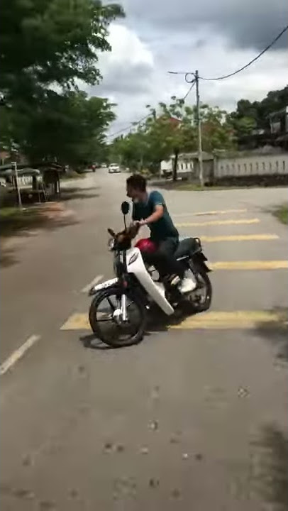 Lari roadblock