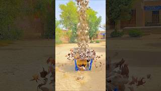 Danish ne namazi per charpai kyon rakhi#emotional#prayer#ytreel#ytshort#yttrending#india#pakistan