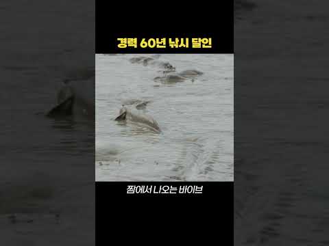 경력 60년 짱뚱어 낚시 달인의 클라쓰... #shorts