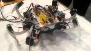 Music Interpreting Robot - Capstone Presentation 2012