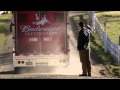 The clydesdales brotherhood  2013 budweiser super bowl  commercial