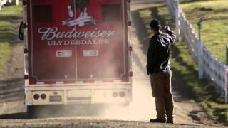 The Clydesdales "Brotherhood" - 2013 Budweiser Super Bowl [Commercial]