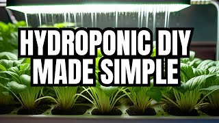 The Ultimate DIY Hydroponic Garden for Beginners!