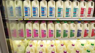 Iowa WIC Shopping Shorts 2026 Milk