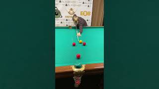 🔥👍Тренировка игры «Корона» #1 упражнение #бильярд #billard #shorts