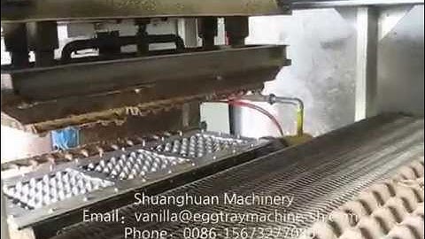 SHF-1000A  1000pcs/h egg tray machine,pulp molding machine