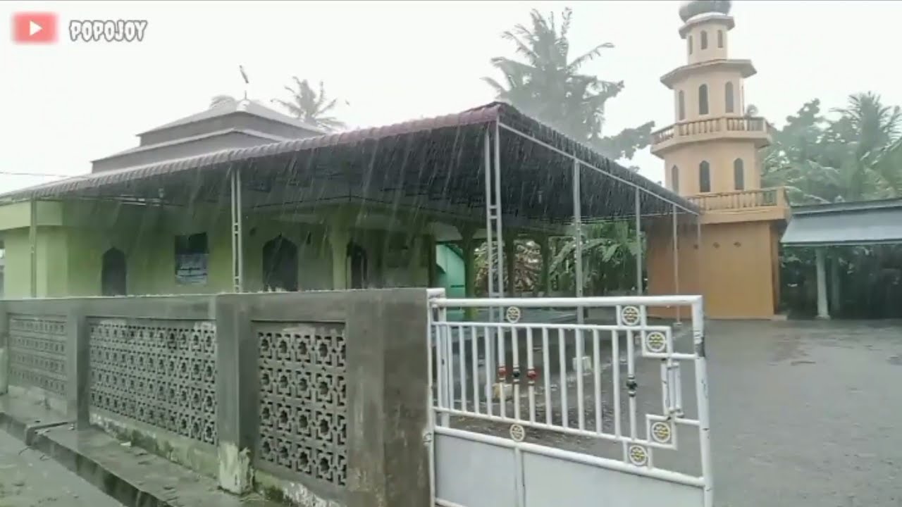 light rain in rice fields and in the countryside