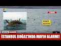 İstanbul Boğazı'nda mayın alarmı!