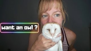 WHAT TO KNOW if you want to KEEP AN OWL series by Vegan Hippie 1,324 views 4 years ago 5 minutes, 10 seconds