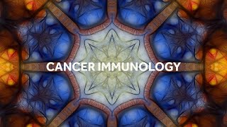 Cancer Immunology Branch Introduction