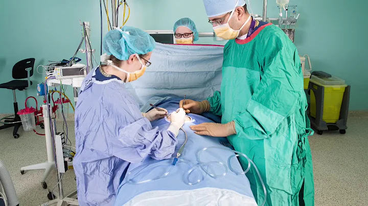 Why Collaboration Matters