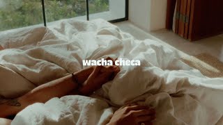 Video thumbnail of "Caloncho - Wacha Checa (Letra)"