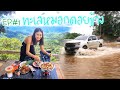 1 Day Trip EP#1 เที่ยวดอยช้างชมทะเลหมอกในป่าสน