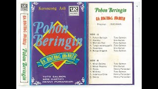 Kr. TANGIS SEORANG GADIS - Toto Salmon (Album Pohon Beringin)