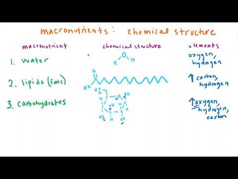 Macronutrients - Chemical Structures - YouTube