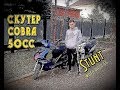 Обзор на скутер Cobra 50cc.