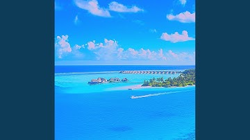 Relaxing Backdrops for Irie Vibes