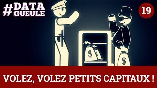 Volez, volez petits capitaux ! #DATAGUEULE 19