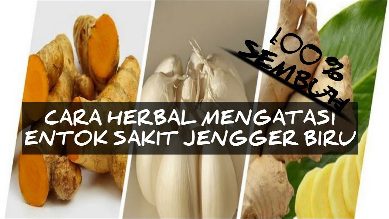 Cara Mengobati Entok Sakit Cara Mengobati Entok Sakit