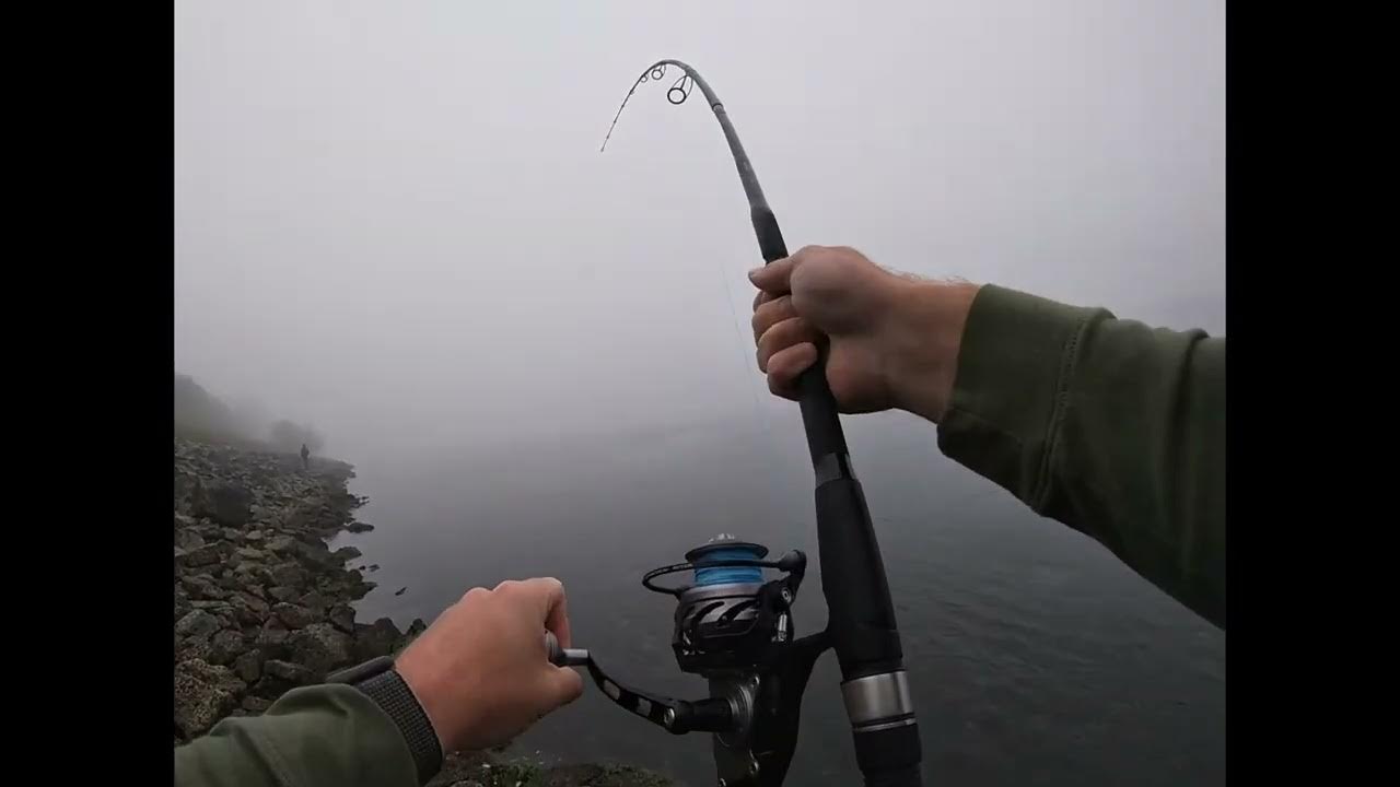 Striper Fishing the Cape Cod Canal YouTube