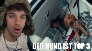 Taimo Reagiert Auf Jspr - G.s.r