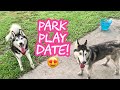 Meeka & Zelda Park Play Date! (SO CUTE!) 😍