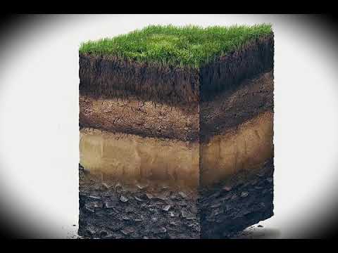 Что такое почва?