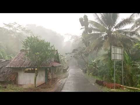 Walk in Heavy Rain and Thunderstorms in Rural Indonesia | ASMR, Nature Sounds for Sleep