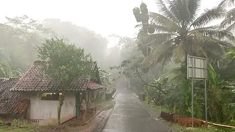 Walk in Heavy Rain and Thunderstorms in Rural Indonesia | ASMR, Nature Sounds for Sleep