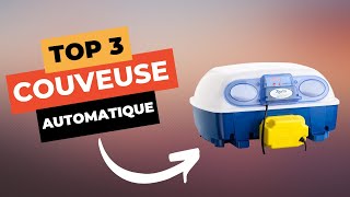 TOP 3: Best Automatic Incubator 2024 🔥