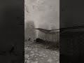 Strategic placement of Traps#shorts #youtubeshorts