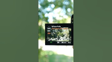 LUTS ON THE SONY A7SIII UPDATE