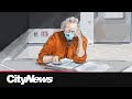 Judge to hear appeal of convicted sex offender Peter Nygard