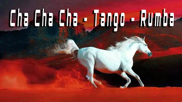 Cha Cha Cha | Tango | Rumba | Mambo 2022 - Best Relaxing Instrumental Music