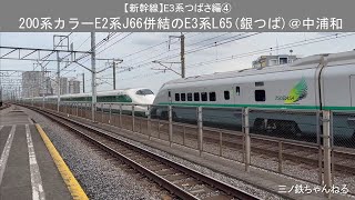 【新幹線】E3系つばさ編④ 200系カラーE2系J66編成併結のE3系L65編成(銀つば)@中浦和