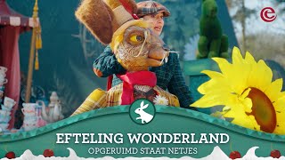 Efteling Wonderland show - Maartse Haas - Opgeruimd staat netjes 🎵