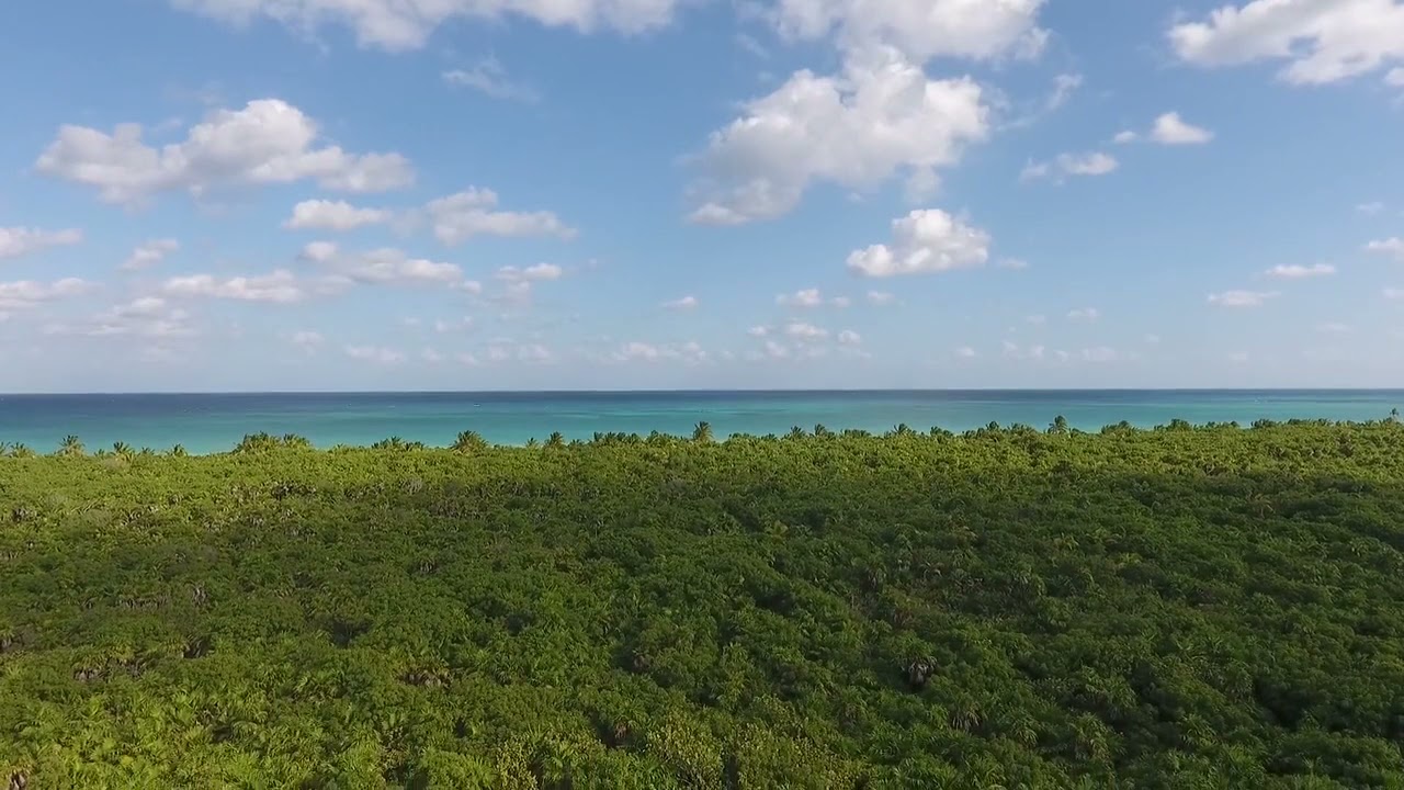 Creative Commons Video  nature  blue sky  Creative Commons Videos and Songs  nature video