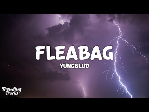 YUNGBLUD - fleabag (Lyrics)