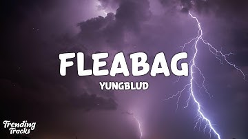 Thumbnail of YUNGBLUD - fleabag (Lyrics)