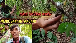 🔴Mikat tledekan BAMBU pakek sangkar