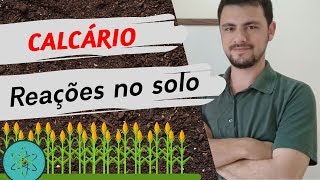 Afinal como o Calcário neutraliza a acidez do SOLO screenshot 3