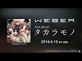 WEBER first album [タカラモノ] Teaser