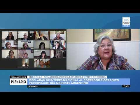 SENADORA INES BLAS - PLENARIO 24-11-21