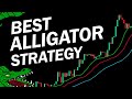 BEST William's Alligator Strategy for Daytrading Forex